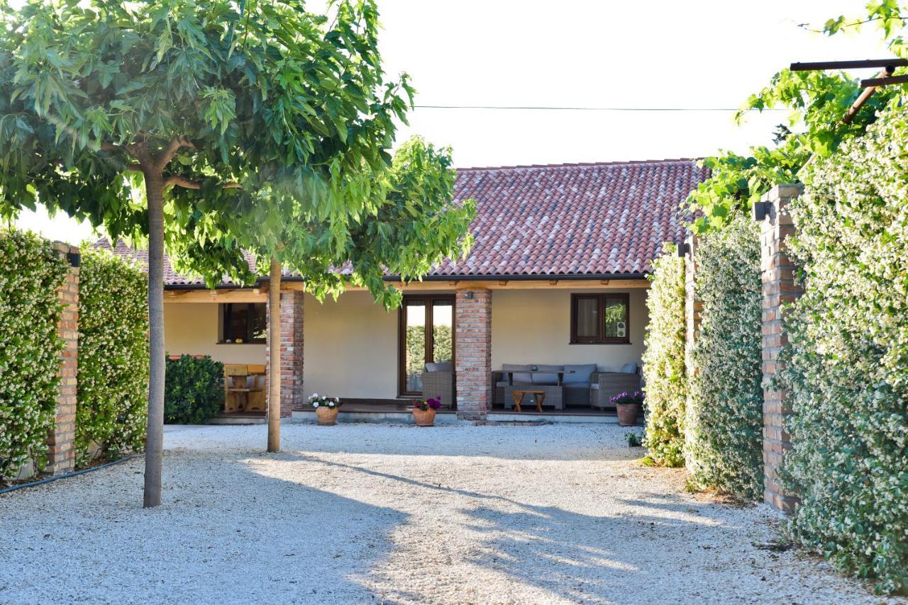 Villa Navita Augustinus With Pool Debeljak Esterno foto