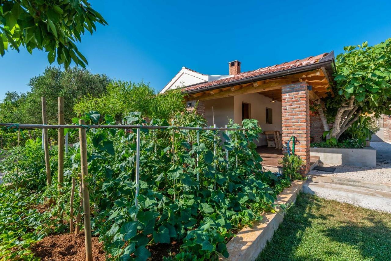 Villa Navita Augustinus With Pool Debeljak Esterno foto